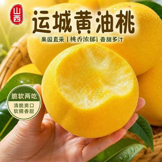 【桃香+杏香+芒果香 肉厚核小 纯甜无酸】山西运城黄金蜜桃4.5斤 商品图10