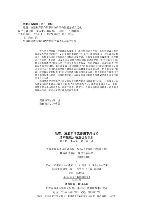 地震、波浪和海流作用下斜拉桥结构性能分析及优化设计 商品图1