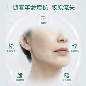 卡溯胶原水乳