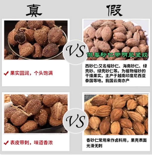 【YMHR】调味 砂仁 商品图2