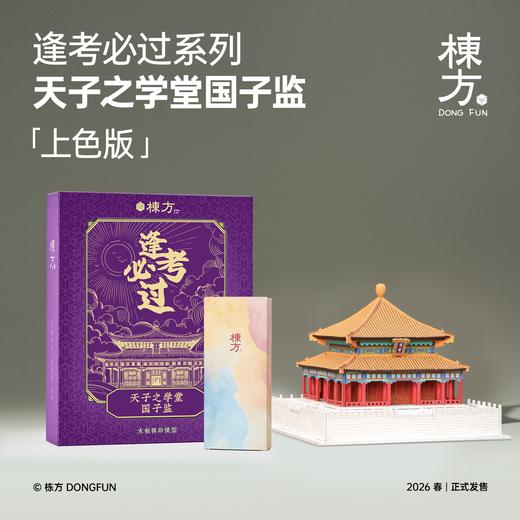 栋方榫卯积木 天子之学堂国子监 原木材质含涂色工具 商品图1