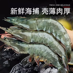【YMHR】30-40只活虾
