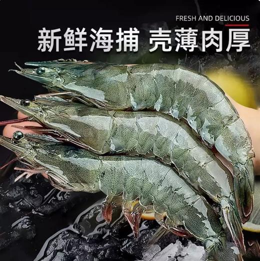【YMHR】30-40只活虾 商品图0