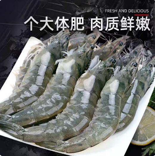 【YMHR】30-40只活虾 商品图1