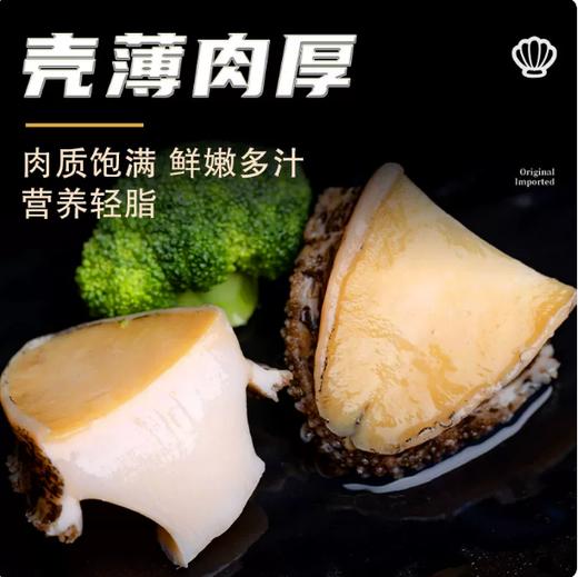 【YMHR】八头鲍鱼 商品图3