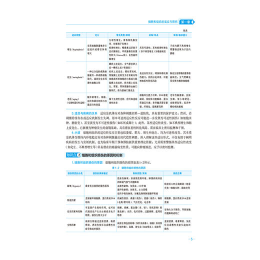 病理学 刘四君 袁宏伟 肖秋香 全国高等院校教材精要与习题(第3版)供基础、 临床、预防、口腔医学类专业用 中国医药科技出版社 商品图4