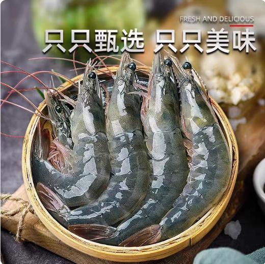 【YMHR】30-40只活虾 商品图2