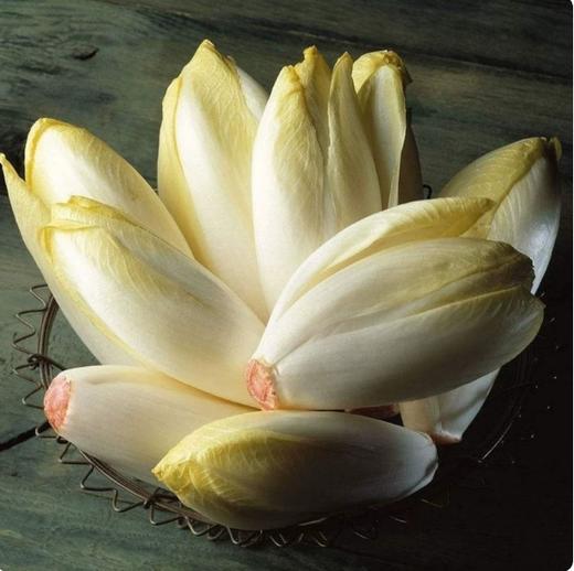 【YMHR】玉兰菜 商品图3