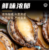 【YMHR】八头鲍鱼 商品缩略图5