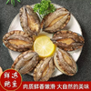 【YMHR】八头鲍鱼 商品缩略图1