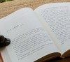 【绝版】《国士无双：蒋廷黻回忆录》，精装，32开，蒋廷黻著，新星出版社2016年一版一印，352页，定价58，售价48元。品95成。 商品缩略图9