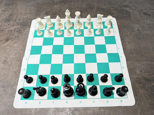 小新慧眼适配 大号国际象棋棋子棋盘 商品图2