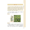 食物本草 植物图鉴及现代应用研究 苏占辉 编著 谷类 菜类 果类 药用价值 现代研究 中医古籍医学书籍9787515229355中医古籍出版社 商品缩略图4