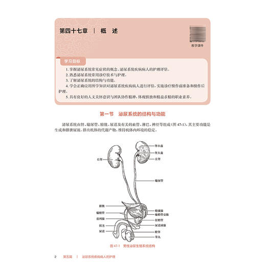 成人护理学（下册）第4四版 吕亮 丁艳萍 全国高等职业教育专科教材十四五规划教材 供护理助产专业用9787117379946人民卫生出版社 商品图4