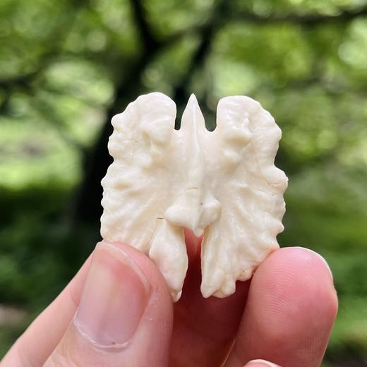 热卖中！【顺丰发货】大凉山高山老树鲜核桃 去青皮新鲜核桃 现摘现发 送开核器 商品图3