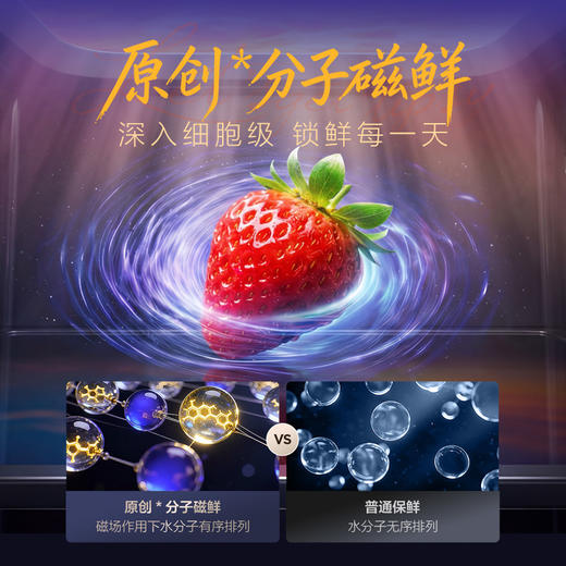 【新品上市】TCL冷布丁机皇MAX515升法式多门四开门纯净慢融冰磁鲜双系统双净味新一级能效零嵌冰箱 R515T15N-DQBS 商品图8