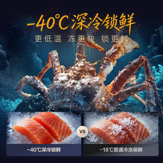 【新品上市】TCL冷布丁机皇MAX515升法式多门四开门纯净慢融冰磁鲜双系统双净味新一级能效零嵌冰箱 R515T15N-DQBS 商品图9