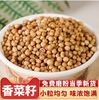 【YMHR】香菜籽 商品缩略图2