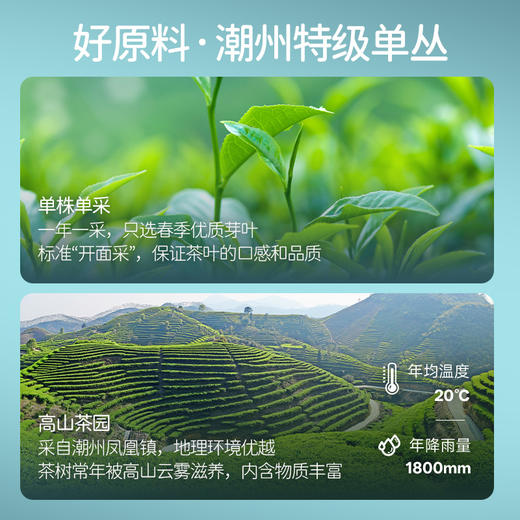 【99元4罐】华祥庄园-凤凰单丛40g散茶罐装 商品图3