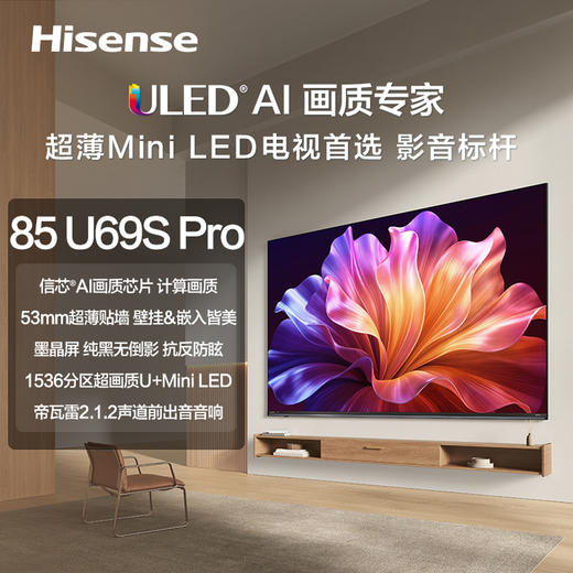海信 电视机 85U69S-PRO 85寸 液晶彩电 U+Mini‑LED 4K超高清 一级能效 信芯AI画质芯片H6 HSR300Hz高刷 墨晶屏 3+64GB 安卓智能系统 帝瓦雷音响 远近场语音 商品图0