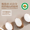 【大片厚实 甄选原料】硕果田间 有机山药片 炖煮冲泡简单 居家日常食补优选 100g/罐 商品缩略图4