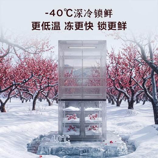 【新品上市】TCL双净味508Pro十字四开门冰箱508L双系统Pro新一级能效594mm超薄零嵌冰箱 R508T9N-UQS 商品图5