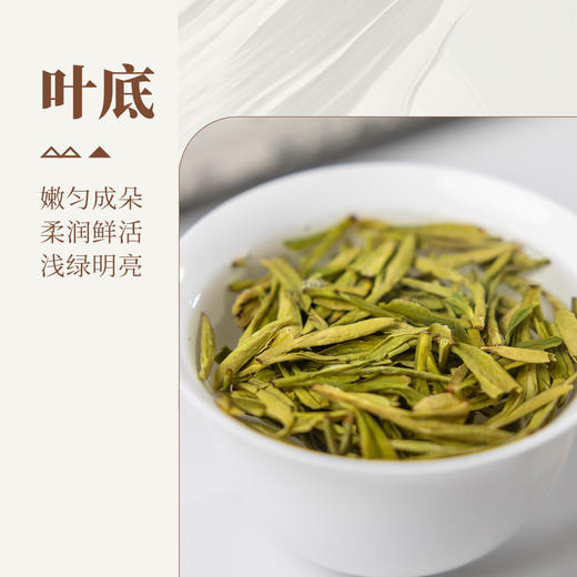 【观山社】龙井茶50g 商品图4