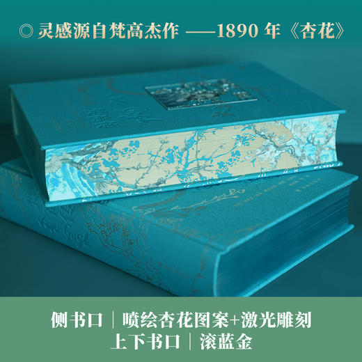 《梵高传》“静默的独白”礼盒版，赠：藏书票+透光金属书签+磁吸收纳布+鸢尾花胸针+野玫瑰眼镜袋+专属收藏礼盒 商品图2