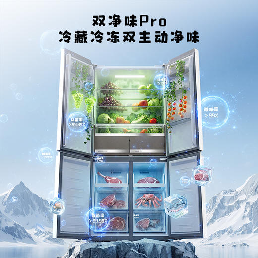 【新品上市】TCL方墩墩601升T9N十字对开双开四开门大容量双系统双净味零嵌新一级能效冰箱 R601T9N-UQS 商品图5