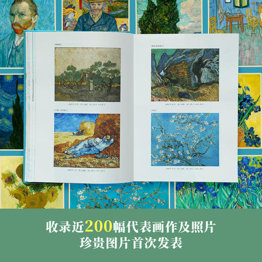 《梵高传》“静默的独白”礼盒版，赠：藏书票+透光金属书签+磁吸收纳布+鸢尾花胸针+野玫瑰眼镜袋+专属收藏礼盒 商品图5