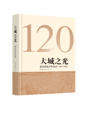 大城之光——武汉供电百年史话