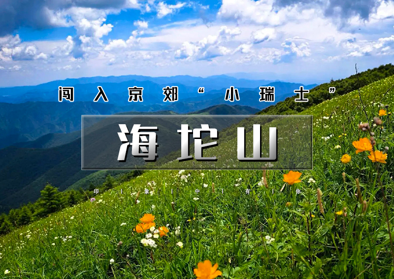 1日｜海坨山｜北京第二高峰の2200米的云端草甸-15公里徒步<初级>