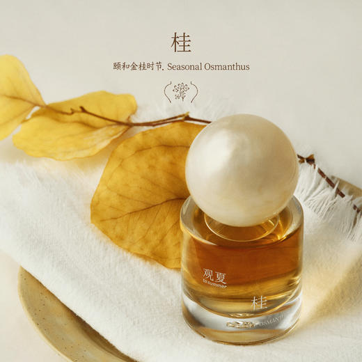 【金秋限定·藏秋】浓香水— 绒桃李 | 门中月 | 颐和金桂时节 商品图5