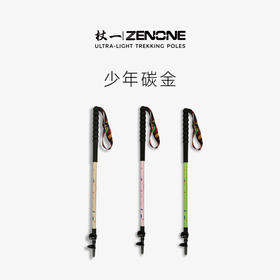 【ZENONE/Z2002】杖一青少年儿童登山越野杖