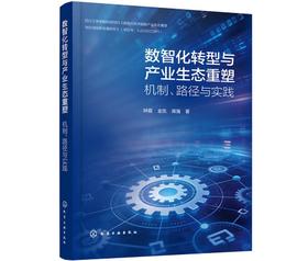 数智化转型与产业生态重塑：机制、路径与实践