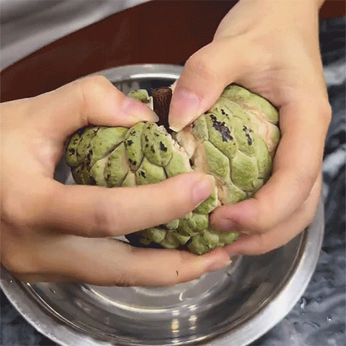 【京东发货】广东潮汕大目释迦果 樟林林檎 精品大果 现摘现发 清甜软糯