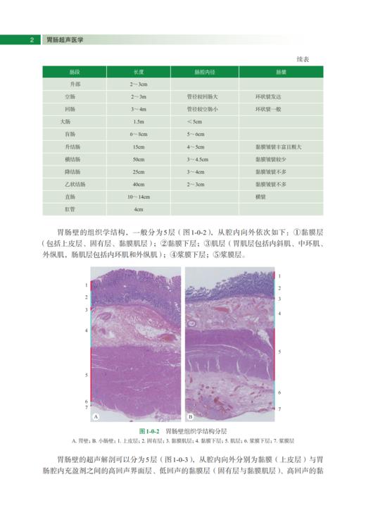 胃肠超声医学 陈志奎 9787030841872 商品图6