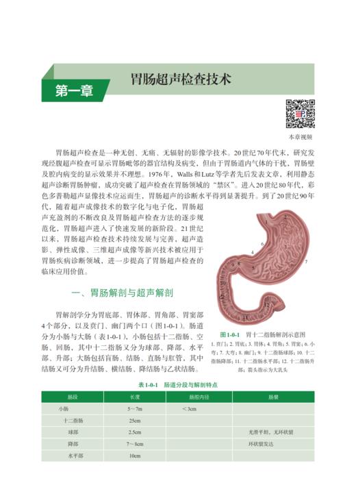 胃肠超声医学 陈志奎 9787030841872 商品图5