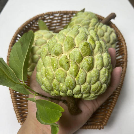 【京东发货】广东潮汕大目释迦果 樟林林檎 精品大果 现摘现发 清甜软糯 商品图1