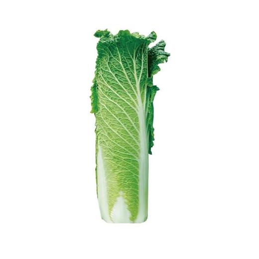 玉青白菜（1500±100g） 商品图1