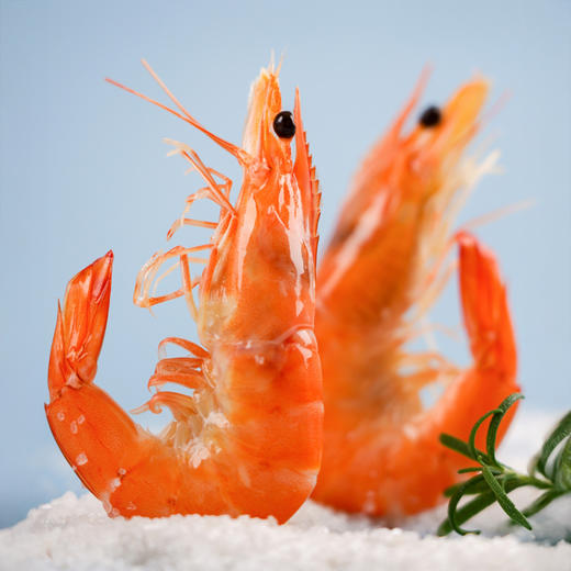 8.30晚【锁鲜包装】渤海水产 盐田有机熟虾 250g/盒*4盒 自然活力盐田虾 商品图1