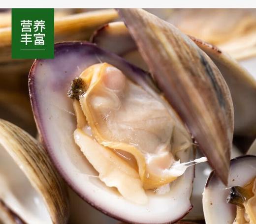 【QT】新鲜花蛤 商品图2
