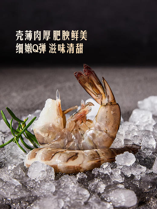 MM 山姆 Yummy Tale泰国进口 生冻去头开背白虾 1kg 商品图5