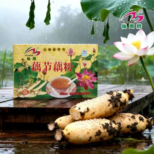 仙湖藕节藕粉200g云南特产高原藕粉澄江藕粉精选荷藕50年老品牌 商品图2