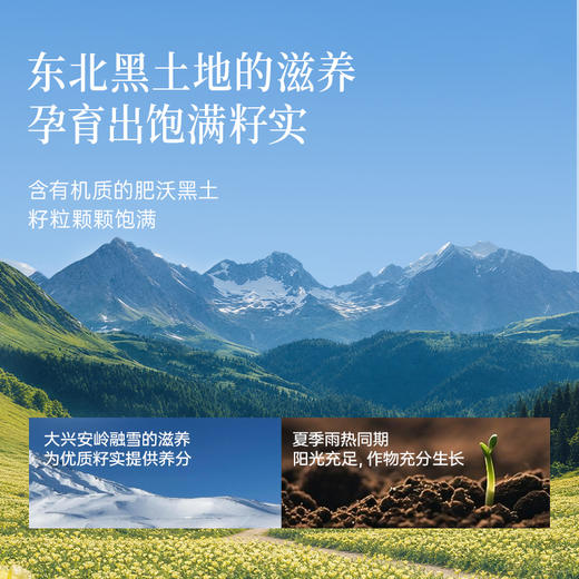 月见草籽油 补充亚麻酸 女性经期更年期友好 植物力量稳定情绪 多指标高于欧盟标准东北黑土地 可口服外涂烹饪多用途 晟麦食用油5ml*30袋 商品图4