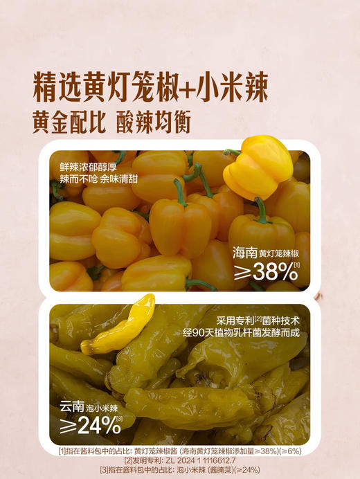 MM 山姆 Member's Mark 酸汤风味料理调味料 95g（酱料包90g+蒜酥包5g）*3/5份 商品图2