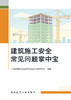 建筑施工安全常见问题掌中宝 商品缩略图2