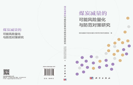煤炭减量的可能风险量化与防范对策研究 煤炭减量的可能风险量化与防范对策研究课题组 9787030833815 商品图3