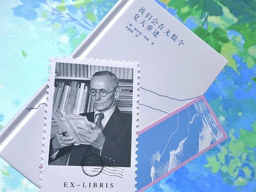 我们会在无数个夏天重逢  9787577231624  华中科技出版社 商品图4