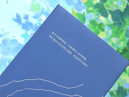 我们会在无数个夏天重逢  9787577231624  华中科技出版社 商品图8